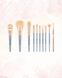 BlueBird Brush Set