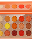 Vitamin C Palette